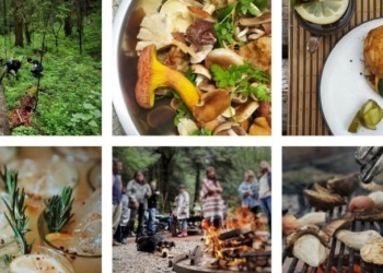 Cubo, del bosque a tu mesa