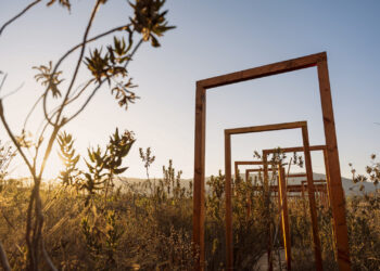 Oasis vinícola y de bienestar