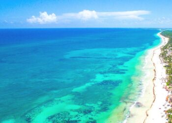 CPTQ renueva director general