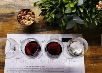 Hoteles City: más allá de la hospitalidad