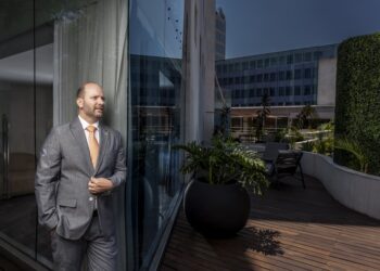 El camino es la profesionalización