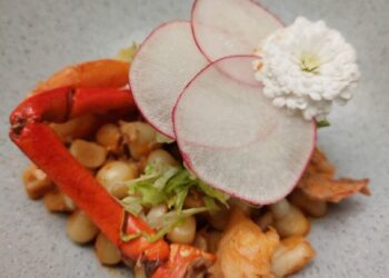 De Baja California a Fónico