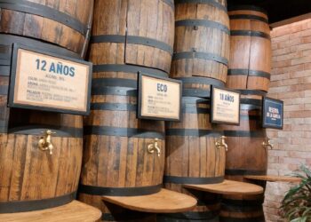 ¡Maestros roneros por un día!