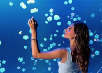 Sumérgete en un evento inolvidable