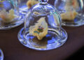 ES Eventos Sustentables