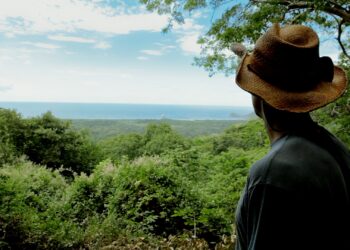 Pura vida que inspira