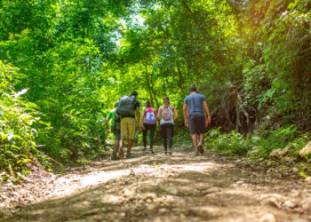 Negocios y naturaleza en Costa Rica