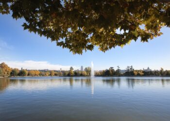 Madrid y su compromiso con el medio ambiente