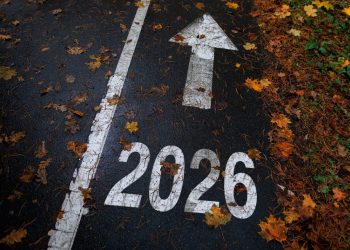 Un año para consolidar capacidades