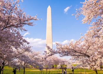 Washington